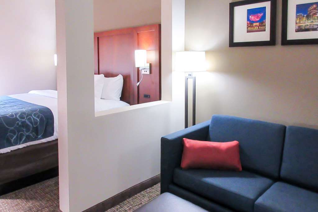 Comfort Suites Greensboro-High Point Chambre photo