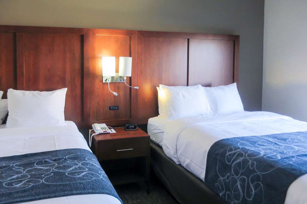 Comfort Suites Greensboro-High Point Chambre photo